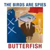 The Birds are Spies - Butterfish - Single